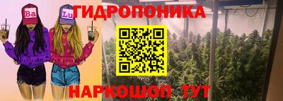 бошки Кинель
