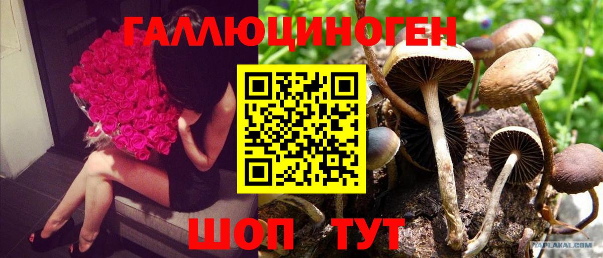 Галлюциногенные грибы прущие грибы Котельники