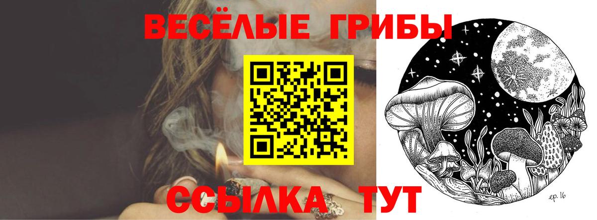 Котельники  Галлюциногенные грибы ЛСД  Вход с VPN  Галлюциногенные грибы Psilocybine cubensis 